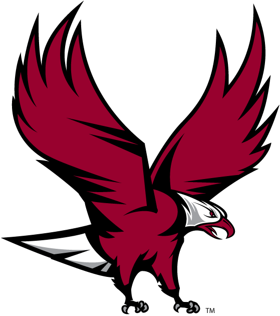 NCCU Eagles 2006-Pres Partial Logo iron on paper